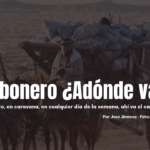 CARBONERO - TEXTO JDJ